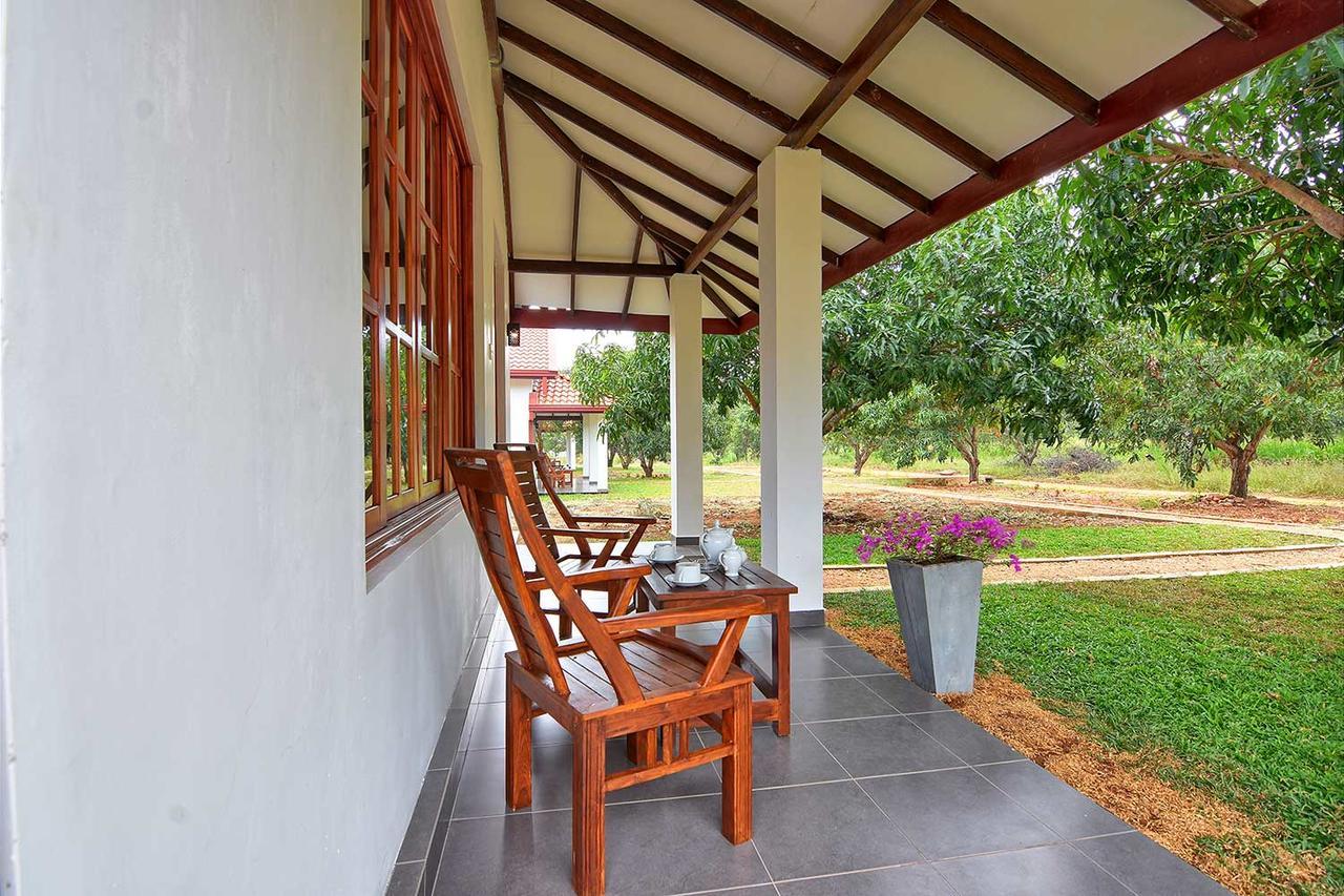 Dambulla Hills Resort Eksteriør billede