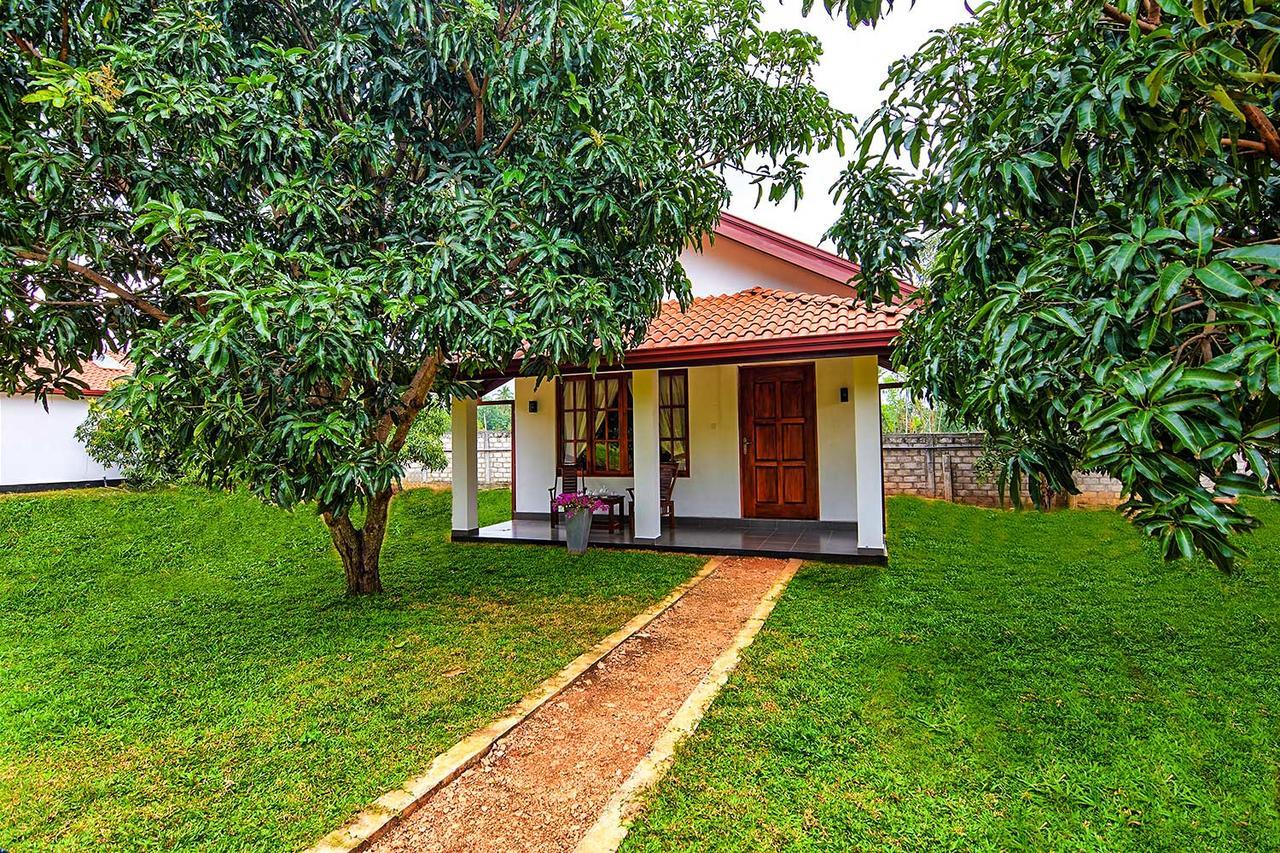 Dambulla Hills Resort Eksteriør billede