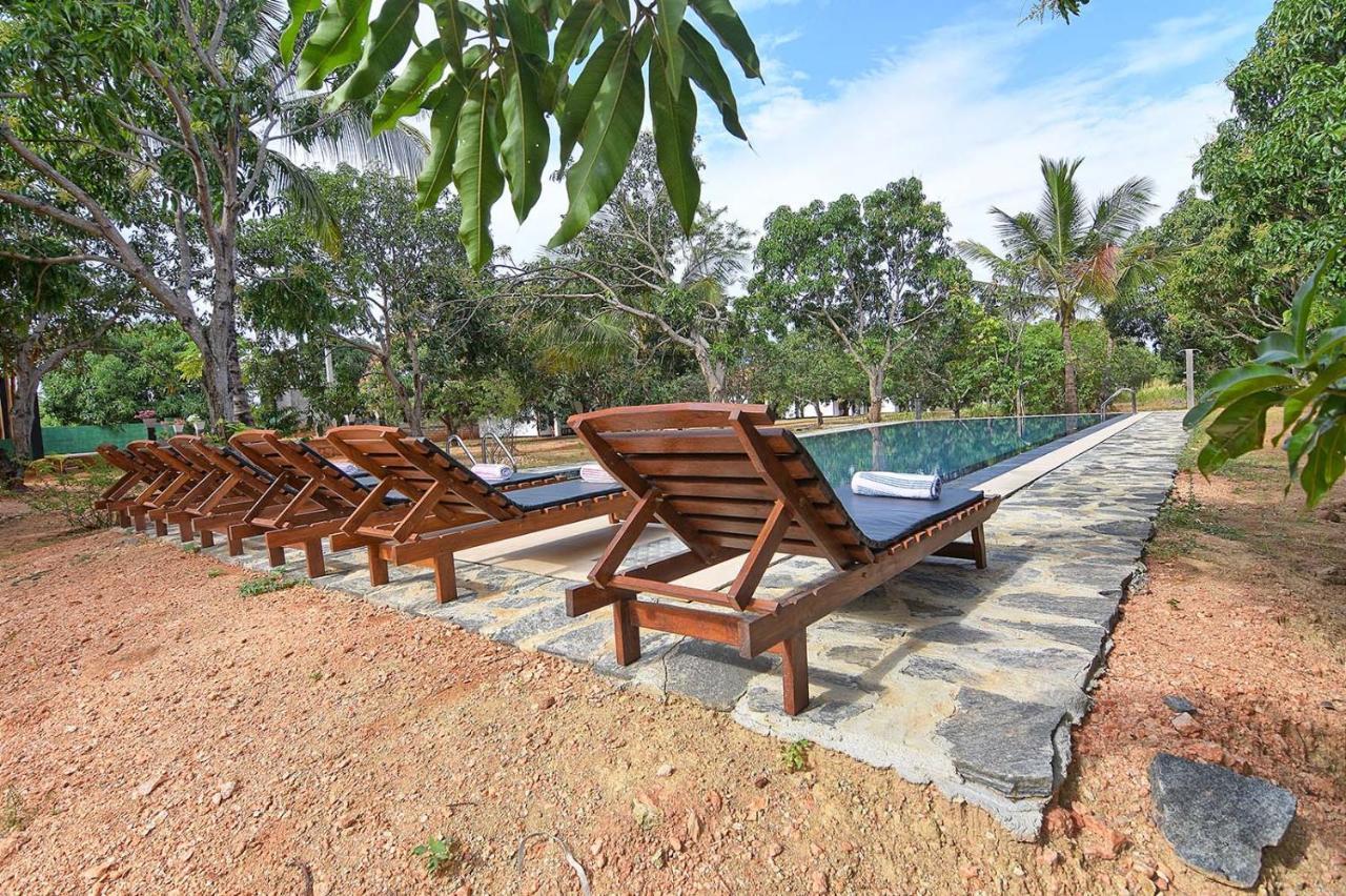 Dambulla Hills Resort Eksteriør billede