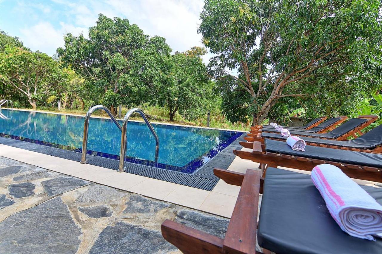 Dambulla Hills Resort Eksteriør billede