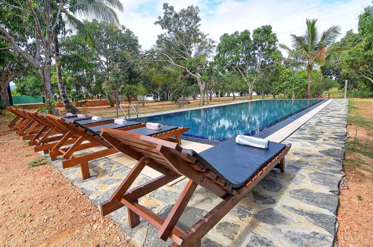 Dambulla Hills Resort Eksteriør billede